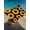 Black, variant on Outdoor Sun Shade Sail 12'x16', Sunflowers Patio Beach Shade Canopy Cloth Waterproof, Black Botanical Yellow Budding Flowers TearResistant & UV Protection Sun Sail for Backyard Garden Deck