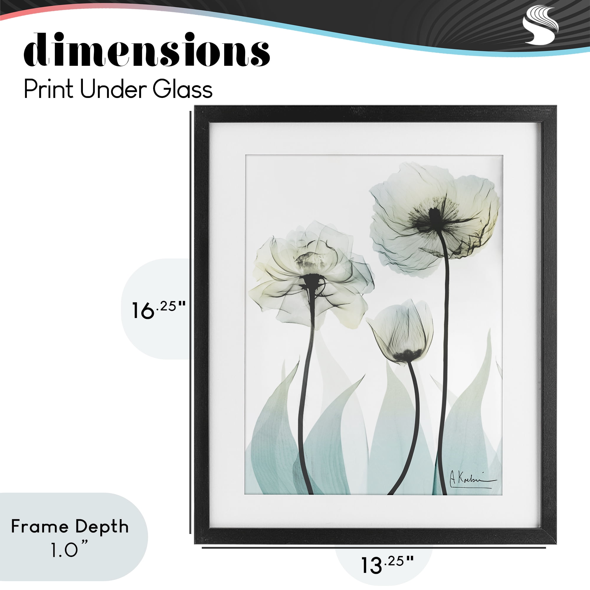 Stupell Industries Luxury Of Creation Black Framed Print Under Glass, design by Albert Koetsier