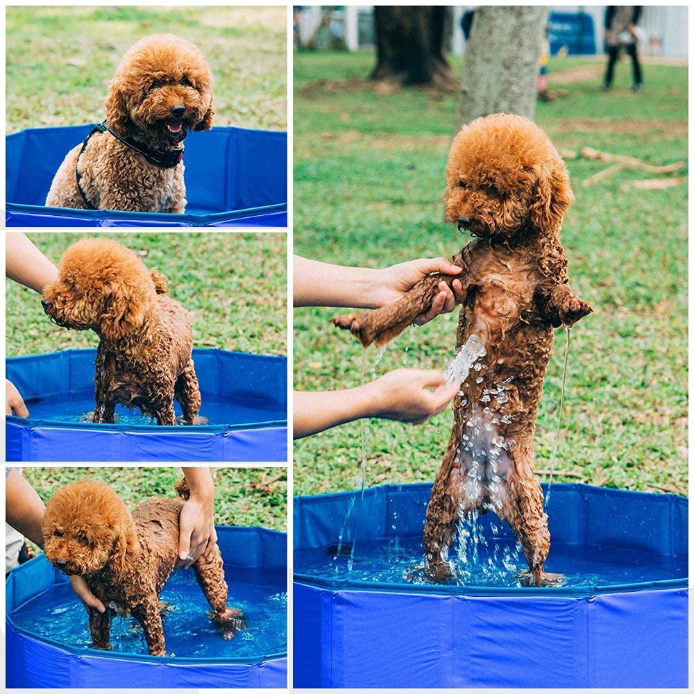 Piscine Tapis Jet D'eau Pour Chien – Pliable, Antidérapant, Pour Jardin Ou Salle De Bain