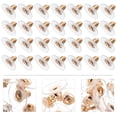 thumbnail image 2 of Miangastore Earring Backs Break Resistance 100Pcs 0.4x0.4x0.3in, 2 of 8