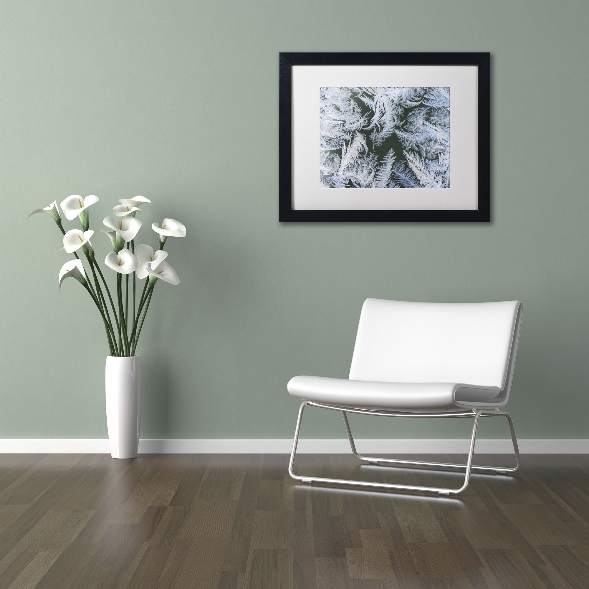 Trademark Fine Art "Frost at Zero Degrees" Canvas Art by Kurt Shaffer White Mat, Black Frame