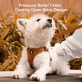 thumbnail image 3 of BELLA & PAL Adjustable Step-in Dog Harness, Puppy No-Pull Vest with Leash Set for XS/Small & Medium Dog, Breathable All-Weather Mesh, Reflective Strip, Secure Hook & Loop, Buckle Closure, 3 of 6