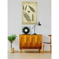 thumbnail image 2 of Diderot Antique Ferns Iii. Poster - Denis Diderot Designs,, 2 of 3