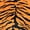 Orange, variant on Everything Comfy Tiger Print Decorative Throw Blanket, 30" X 40", Orange