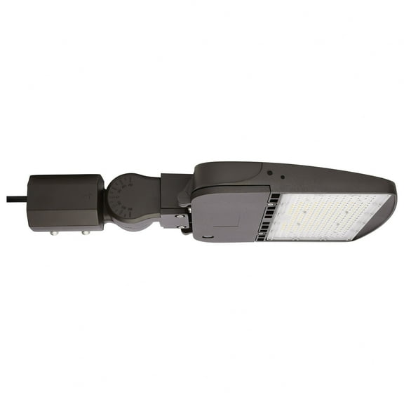 Nuvo Lighting - 277V 100W LED Type V Outdoor Area Light In Utilitarian