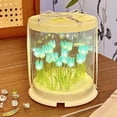 thumbnail image 4 of Ouuluon Night Light Flower Sea Handmade Diy Night Light Kit, Cake Box Romantic Ambient Lamp for Bedroom Birthday Gift for Women Girls, 4 of 7