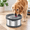 8L+2 Filters, variant on 12l Dog Water Bowl No S3.1 Gallon Super Large Capacity Stainless Steel Splash 405oz Slow Drinking Feeder With Non-slip Base Pet Di