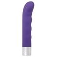thumbnail image 5 of Evolved Spark Rechargeable G-Spot Vibrator Purple, 5 of 5