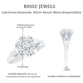 thumbnail image 5 of Rosec Jewels Lab Created Diamond Flower Engagement Ring - EF-VS Quality | Ready to Gift, 925 Sterling Silver, US 4.00, 5 of 6