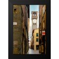 thumbnail image 2 of Blaustein, Alan 11x14 Black Modern Framed Museum Art Print Titled - Lucca #1, 2 of 5