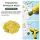 thumbnail image 3 of Uxcell Musgo de Reno Preservado Amarillo Decorativo Artificial de 4.6oz, 3 of 6