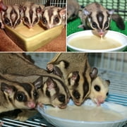 Exotic Nutrition Starter Package for Sugar Gliders