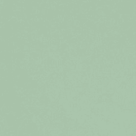 Pistachio