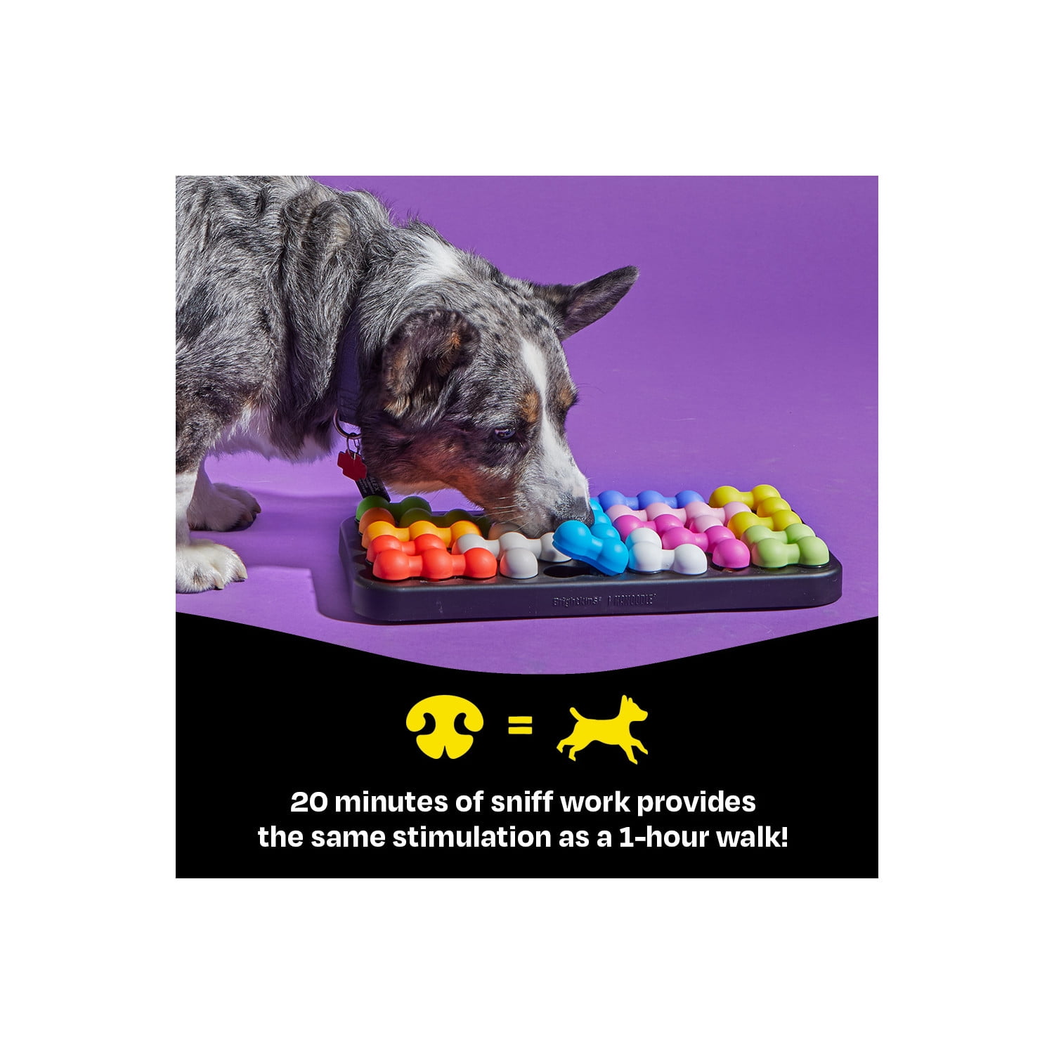 ●LOTONE & J-DOG Amazon.com : BEAUTYZOO Step in Dog Harness and Leash Set