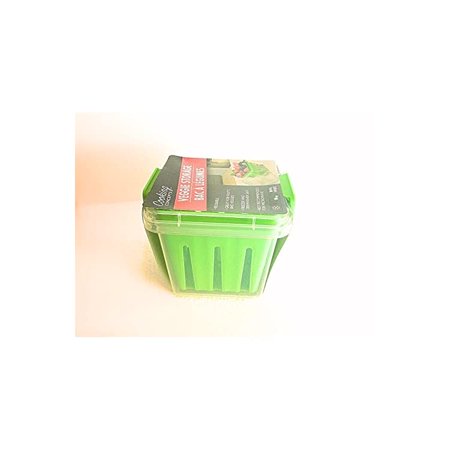 Reusable Fruit & Veggie Storage Container (Teal)