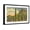 Black Frame, variant on Art.com Group of Saguaro Cacti Stretched Canvas Print Wall Art, 18" x 12"