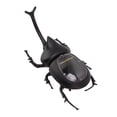 thumbnail image 4 of Modelo de Escarabajo de Estiércol Falso, Juguete de Insecto Portátil Educativo Para El Hogar para Adultos, 4 of 7