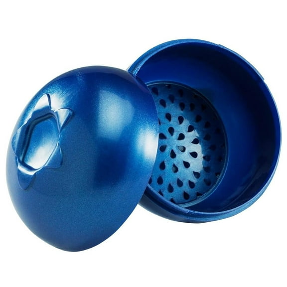 Hutzler Blueberries To-Go Bento Box, Blueberry Travel Lunch Storage Snack Container