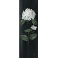 thumbnail image 2 of Nan 7x14 Black Ornate Wood Framed with Double Matting Museum Art Print Titled - White Country Botanical II, 2 of 4