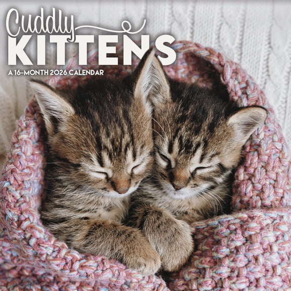 Trends International 2026 Cuddly Kittens Wall Calendar