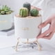 thumbnail image 4 of Macetero con Soporte Ilios Innova JY1105 Color Blanco, 4 of 4