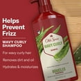thumbnail image 2 of Old Spice Aloe & Avocado Oil Wavy Curly Shampoo, 21.9 fl oz, 2 of 9