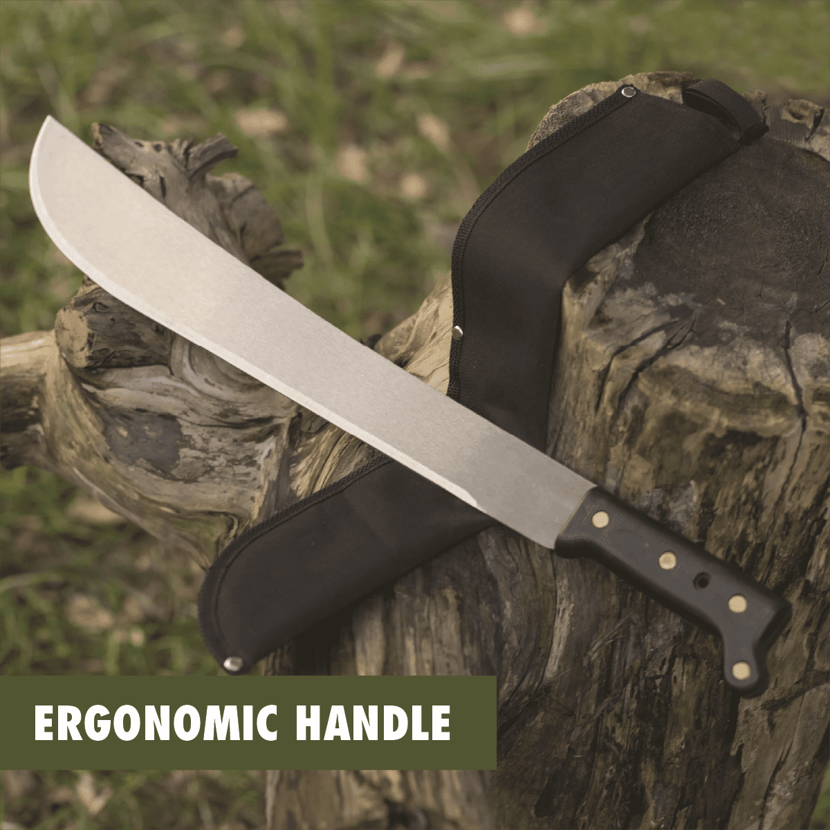 maa＊ d19a746b-6a65-4943-b8d2-