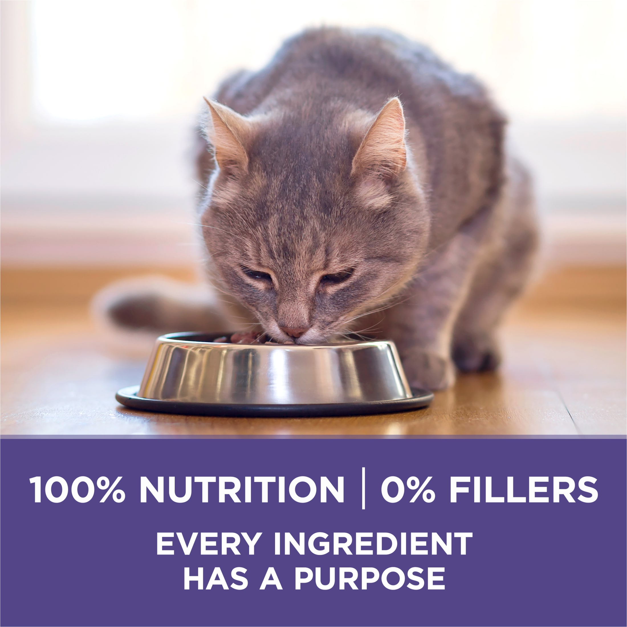 Purina ONE Plus Hairball Formula Chicken Dry Cat Food, 7 lb photo 8
