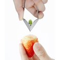 thumbnail image 4 of Stainless Steel Pineapple Seed Remover Strawberry Removal Forceps Pineapple Shaped Eye Digging And Fruit Picking Tool, 4 of 9