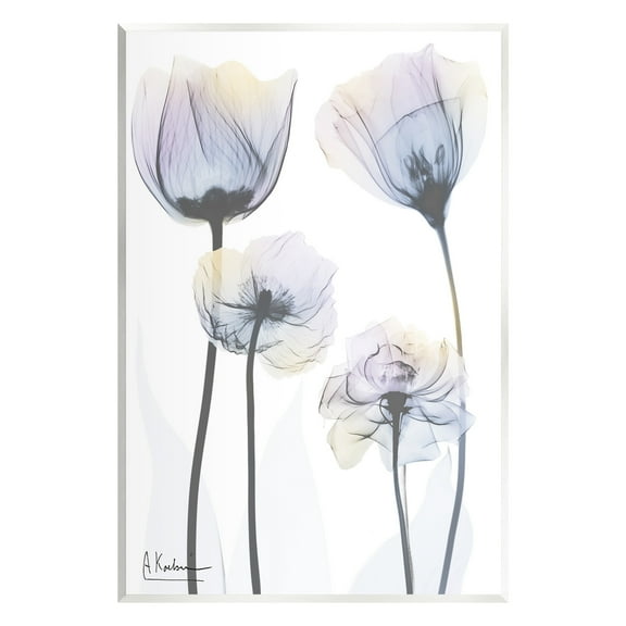 Stupell Industries Subtle Flower Shapes Botanical & Floral Photography Unframed Art Print Wall Art, 10 x 15
