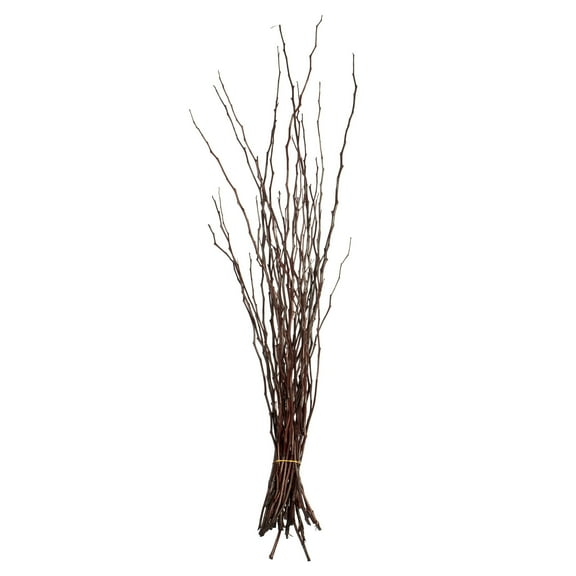 Vickerman 35-40" Brown Moneta Branches, 8 oz Bundle, Dried