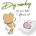 thumbnail image 2 of Forros desechables para pañales para perros, 100 unidades, WICKEDPUP, 2 of 6