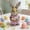 A_Base#90, variant on Bunny Figurine Vintage Farmhouse Decor – Cute Resin Rabbit Statue for Spring Home, Living Room, Bedroom or Bookshelf Decor