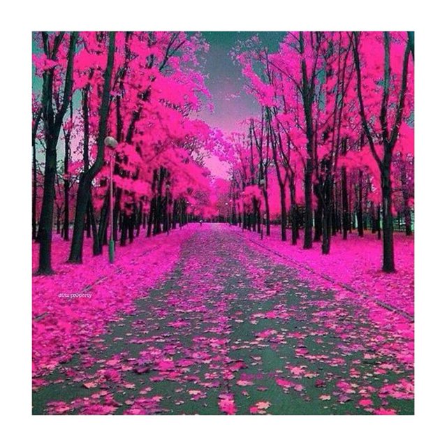 Cuadros Decorativos 5D bricolaje taladro completo diamante pintura bosque punto de cruz bordado mosaico JShteea Nuevos Originales