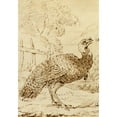 thumbnail image 2 of Benjamin West 14x18 Black Ornate Wood Framed Double Matted Museum Art Print Titled - Turkey, 2 of 5