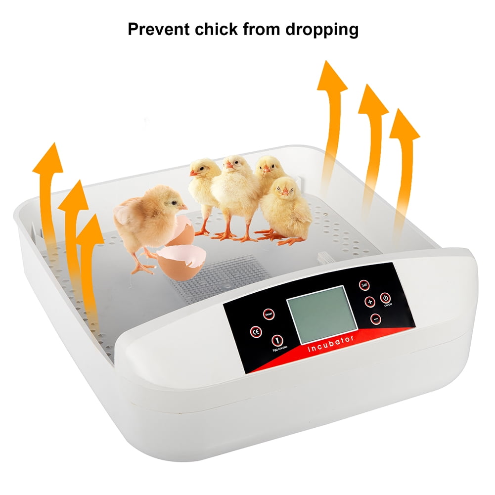 Veryke Digital Clear Egg Incubator 56 Eggs Poultry Hatcher for Chickens Ducks Goose Birds Veryke Digital Clear Egg Incubator 56 Eggs Poultry Hatcher for Chickens Ducks Goose Birds