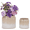 Beige, variant on Mdj Pottery 2-Pack Beige Drip Glaze Ceramic Planters, 6-8 in Breathable Non-Porous Clay for Indoor Outdoor Orchids Succulents Violets