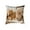 E, variant on Qiweii 45x45cm Cute Animal-Print Pillow Set, Soft Sofa Living Room Bedroom Cushions, Decorative Home Accent Pillows