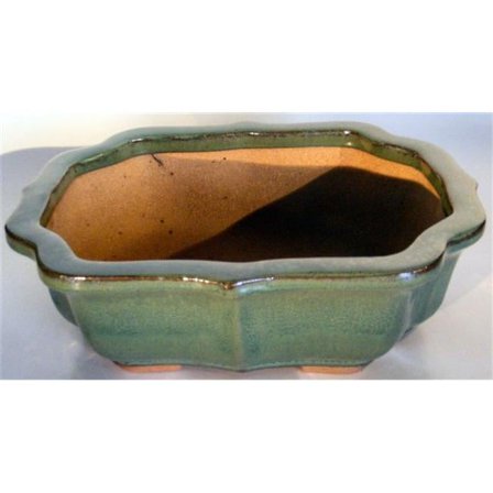 Bonsai Boy J9 Fluted Oval Ceramic, Green