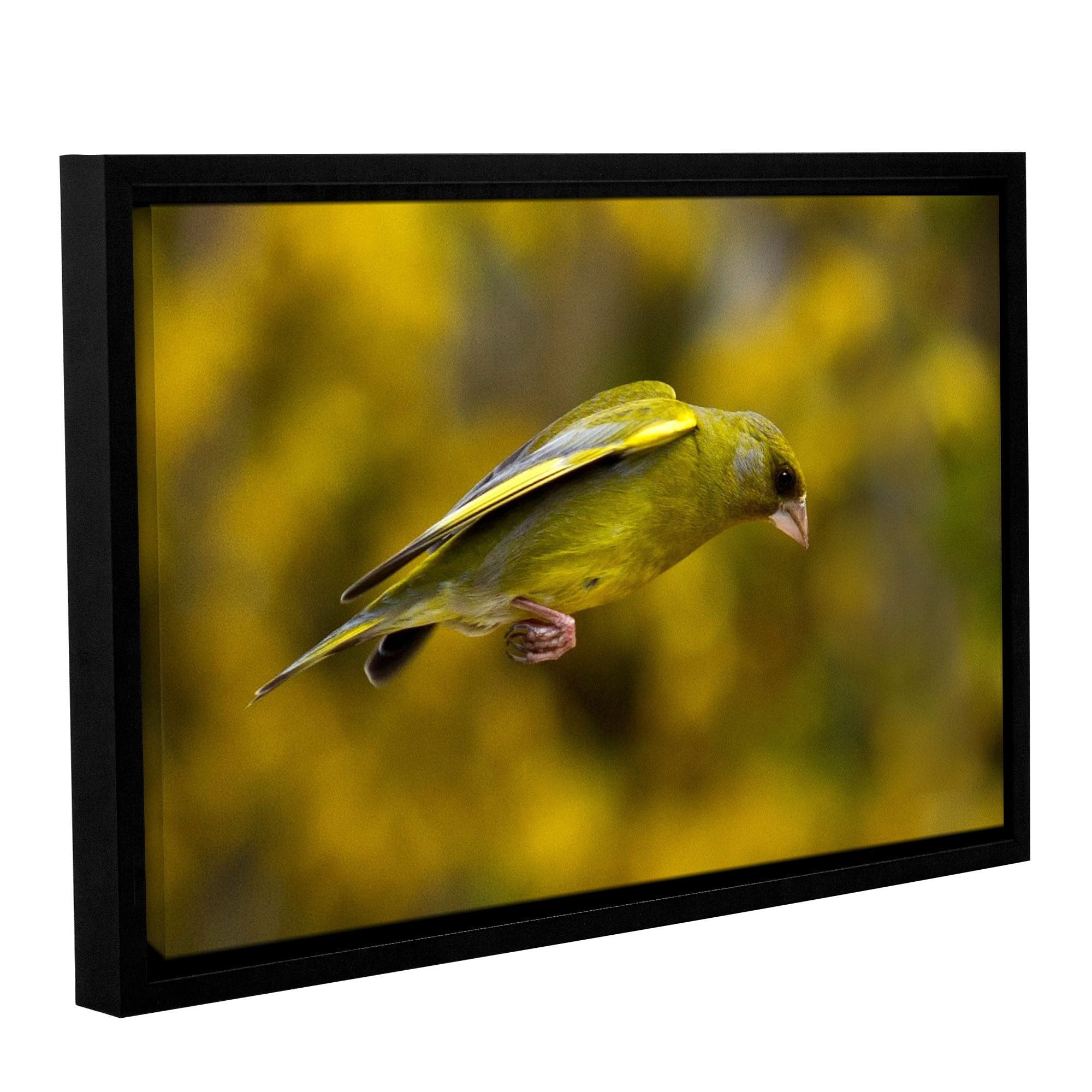 ArtWall Lindsey Janich "Finch Leapings 1" Gallery-Wrapped Floater-Framed Canvas