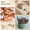 thumbnail image 5 of 24 ramos de flores secas en miniatura, 8 estilos de flores secas para jarrón, flores secas hechas a mano con lazo de cordel, boutonniere de bricolaje para damas de honor de hombres, pequeño ramo de pl, 5 of 5