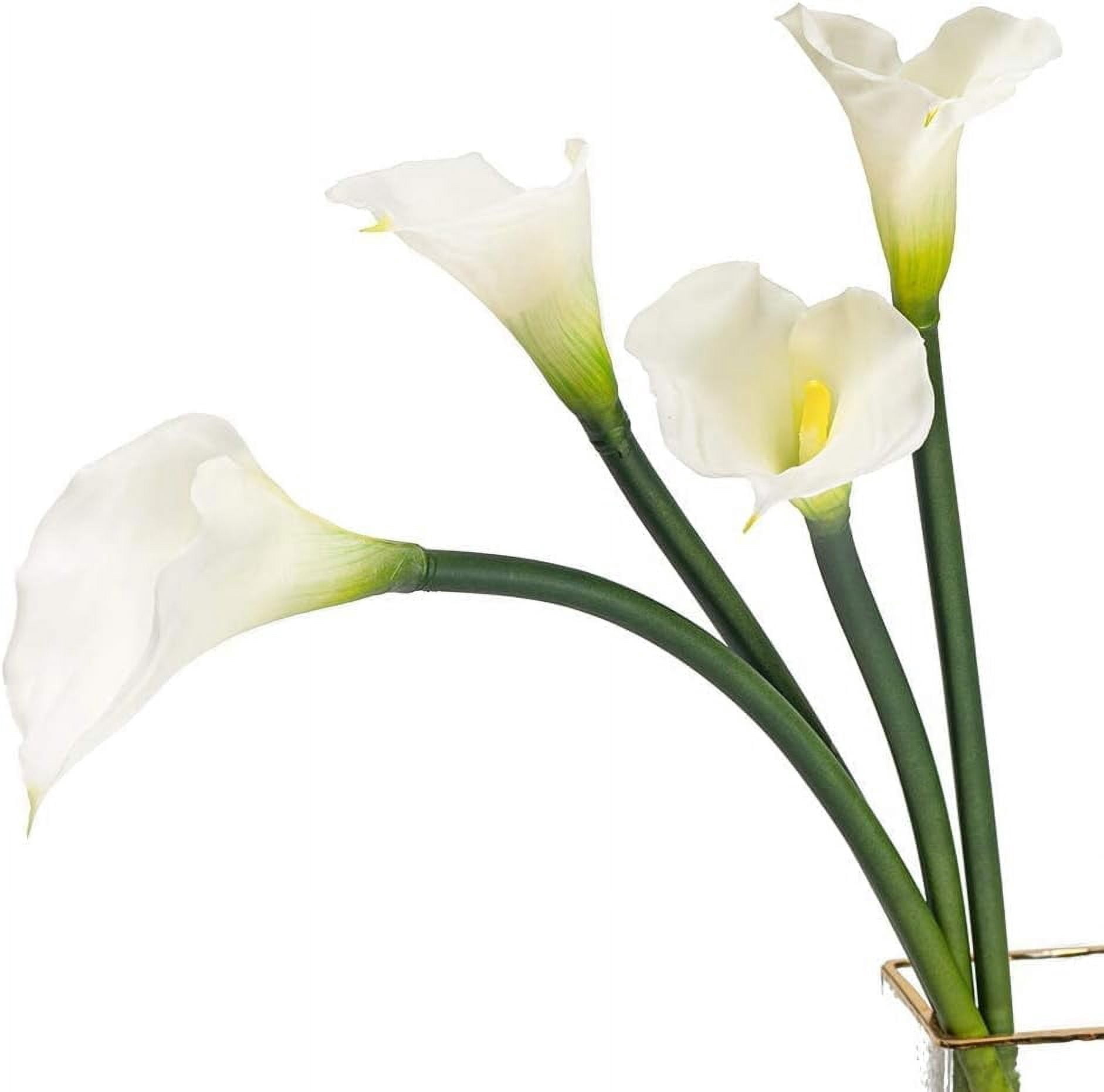 Artificial Flowers Calla Lilly 25.6'' Large Latex Fake Bouquet Soft Real Touch Long Stem Plants 5 Pcs for Home,Living Room,Bedroom,Dining Table,Office,Weddings Party Garden Decor(White)