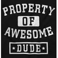thumbnail image 2 of Sarcastic Property of Awesome Dude Boys Kids T Shirt Tees Tops Teen Brisco Brands XS, 2 of 6