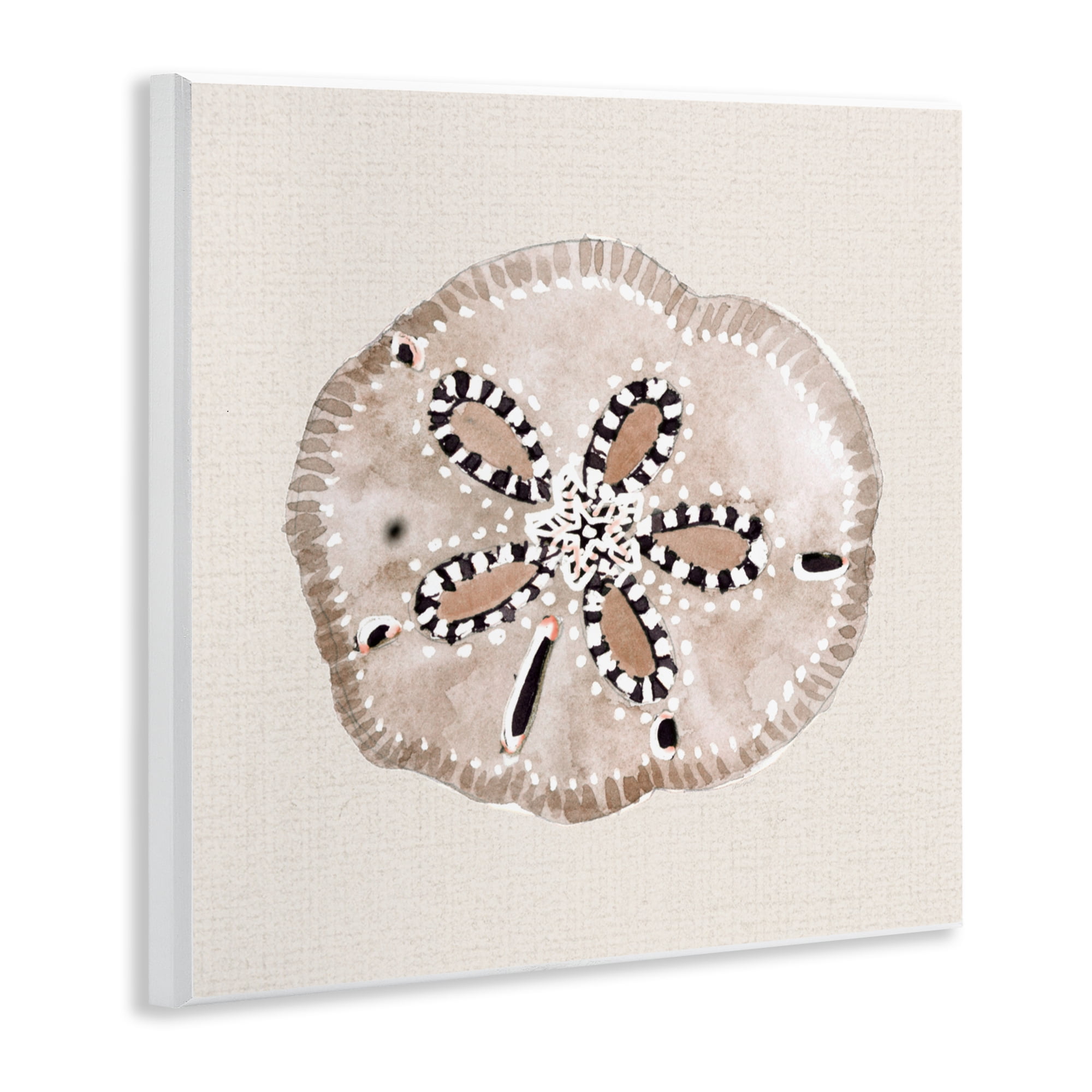 Stupell Industries Taupe & Beige Sand Dollar Wall Plaque Art, design by Lanie Loreth