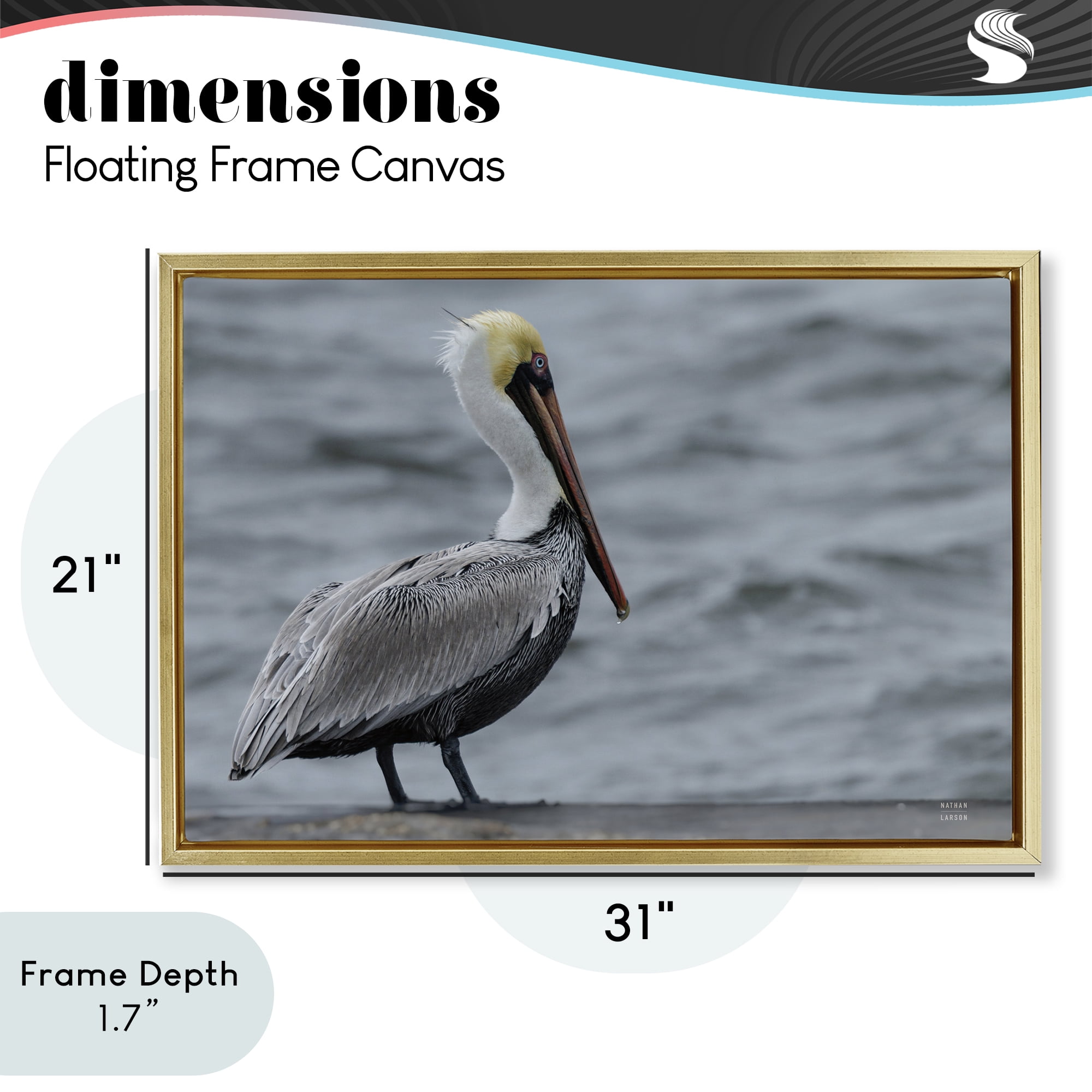 Stupell Industries Pelican Watch Photography Gold Framed Floater Canvas Wall Art, design by Nathan Larson