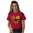 thumbnail image 3 of New Mexico Zia Sun Symbol Distressed Plus Size Crewneck Graphic Tee Shirt Brisco Brands 4X, 3 of 4