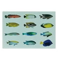 thumbnail image 3 of Fish Cutting Board, Egyptian Fauna Bannerfish Goldfish Parrotfish Wildlife Nature Red Sea Theme Image, Decorative Tempered Glass Cutting and Serving Board, Small Size, Multicolor, by Ambesonne, 3 of 5