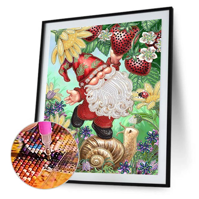 Cuadros Decorativos 5D DIY parcial especial en forma de taladro diamante pintura Goblin Home Decor (HB323)