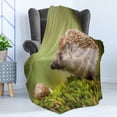 thumbnail image 4 of Hedgehog Soft Flannel Fleece Blanket, Animal Photography in Eastern Europe Slug with Hedgehog Scenes from Nature Print, Cozy Plush for Indoor and Outdoor Use, 70" x 90", Green Brown, by Ambesonne, 4 of 5