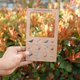 thumbnail image 1 of Buscador De Guías Naturales, Buscador De Pájaros/Visor De Luna, Adecuado Para Materiales De Educación En El Hogar, Estudio Al Aire Libre Para Niños, Juguete Montessori Divertido Muyoka Hogar, 1 of 7